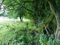Course of the Caerleon Tramroad,<br>July 2011